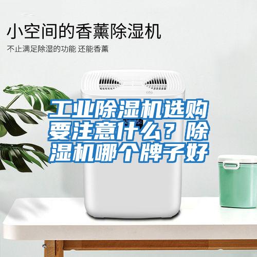 工業(yè)除濕機選購要注意什么？除濕機哪個牌子好