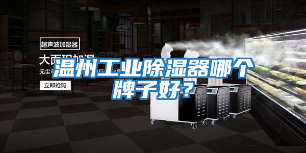 溫州工業除濕器哪個牌子好?